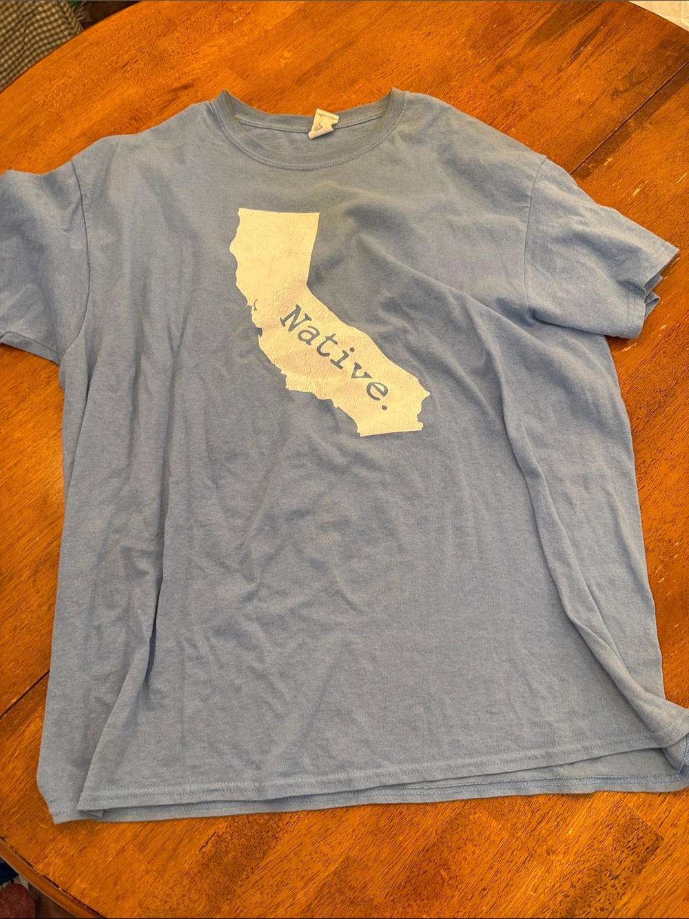 Gildan Light Blue Graphic 'Native' California Tee
